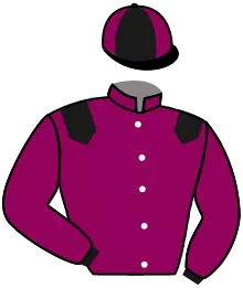 Casaque n°3