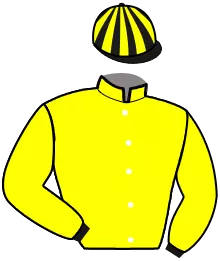 Casaque n°6