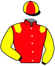 Casaque n°15