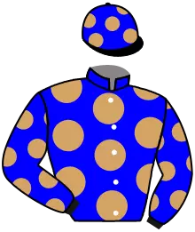 Casaque n°8