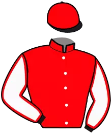 Casaque n°9