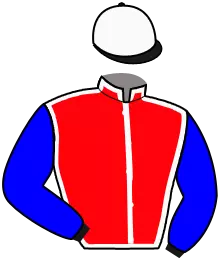 Casaque n°17