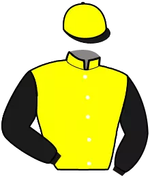 Casaque n°2