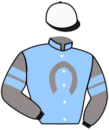Casaque n°11