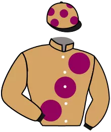 Casaque n°15