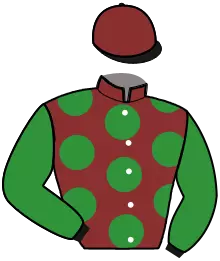 Casaque n°11