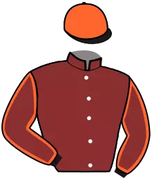 Casaque n°11
