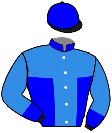 Casaque n°12