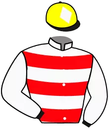Casaque n°3