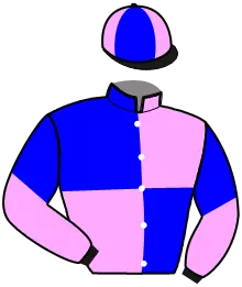 Casaque n°16