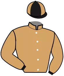 Casaque n°4