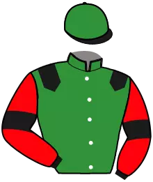 Casaque n°6