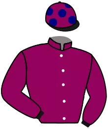 Casaque n°8