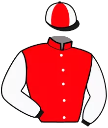 Casaque n°13