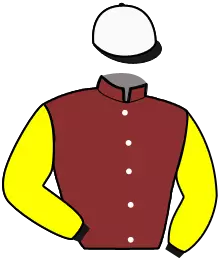 Casaque n°2