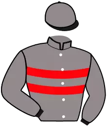 Casaque n°2