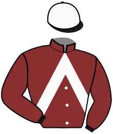 Casaque n°4