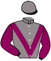 Casaque n°6