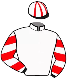 Casaque n°13