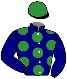 Casaque n°4