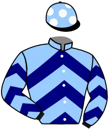 Casaque n°2