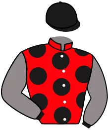 Casaque n°2