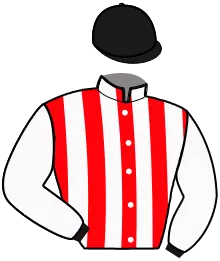 Casaque n°13