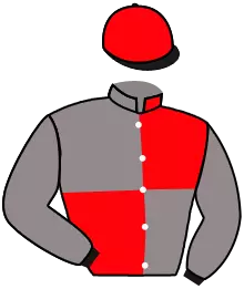 Casaque n°8