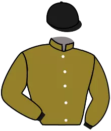 Casaque n°6