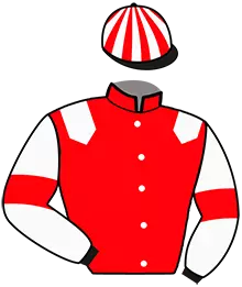 Casaque n°3