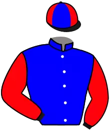 Casaque n°8
