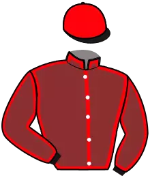 Casaque n°4