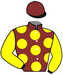 Casaque n°13