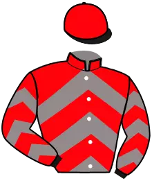 Casaque n°13