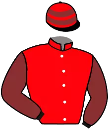 Casaque n°4
