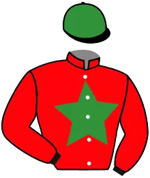 Casaque n°13