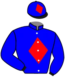 Casaque n°2