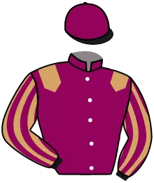 Casaque n°8