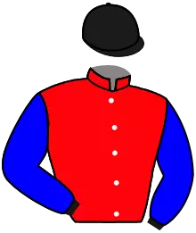 Casaque n°4