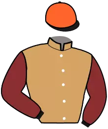 Casaque n°4