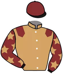 Casaque n°4