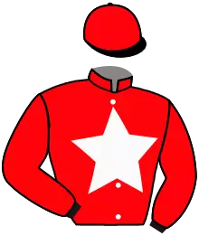 Casaque n°3