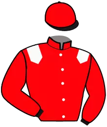 Casaque n°11