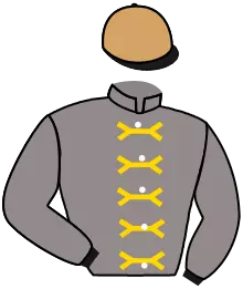 Casaque n°2