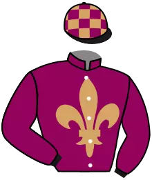 Casaque n°17