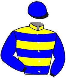 Casaque n°17