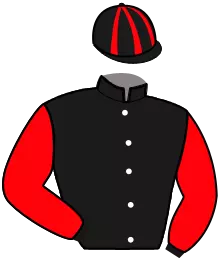 Casaque n°13