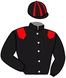 Casaque n°4