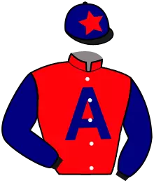Casaque n°2