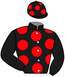 Casaque n°5